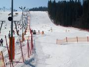FIS downhill