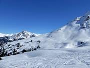 View of the slopes at the Rojenbahn