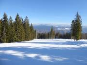 Fiorentini slope No. 30