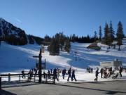 Runs to Canyon Lodge