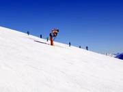 High-performance snow cannon