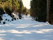 Valley run to Hungerburg