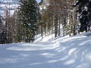 Easy ski trail Salzberg