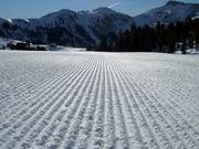 Perfect slope grooming in Obereggen