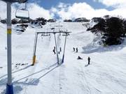 Blaxland T-Bar - T-bar