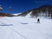 Practice slope at Dream Quad Lift #1 in Annupuri