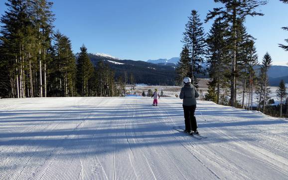 Ski resorts for beginners in the Sugana Valley (Valsugana) – Beginners Lavarone