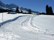 High-altitude trail Sellamatt/Sagenweg (mid-station Alt St. Johann)