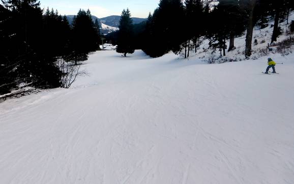 Family ski resorts Wiesental – Families and children Belchen