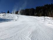 Difficult slope Heimalm-Rauris