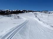 Cross-country trails in Geilo
