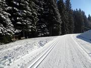 Trail in Villars