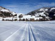 Perfectly groomed cross-country trails in Sillian