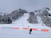 Slope at the Needles Gondola