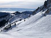 Powder slopes in Mineral Basin