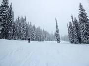 Very easy slope in Red Mountain Resort