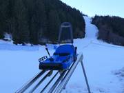 Tip for children  - Family Bob