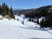 Val delle Lanze slope No. 26