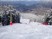 Intermediate slope Costabella