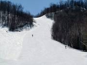 Panoramique downhill run