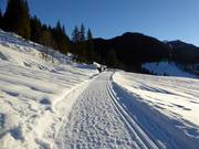 Valepper Almen cross-country trails at Spitzingsee