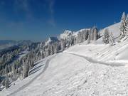 View from Brauneck to Idealhang