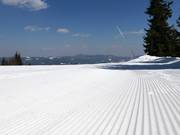 Very good slope grooming in Pamporovo
