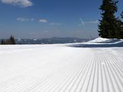 Very good slope preparation in Pamporovo