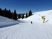 Pioverna slope No. 25