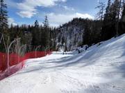 End of the Gruber Spezial downhill run