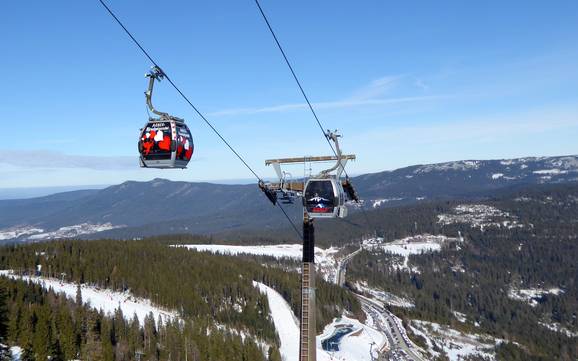 Ski lifts Zwieseler Winkel – Ski lifts Arber