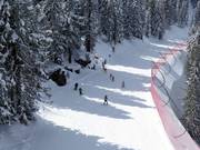 Children's ski course on Alpe Cermis