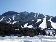 View of the ski area from Panorama