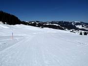 Easy valley run Laucheren