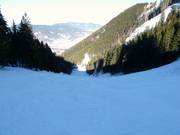 Descent from the Unternbergalm