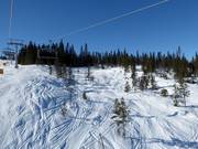 Freeride areas next to the slopes