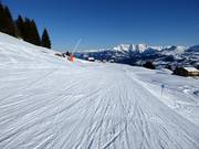 Blue slope from Crest Falla to Canischauna