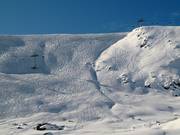 Fresh tracks in the powder snow