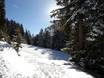 Merano and Environs: Test reports from ski resorts – Test report Vigiljoch (Monte San Vigilio) – Lana