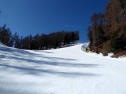 Watles downhill run in the lower section (valley run)