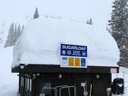 Plenty of natural snow in Alta