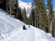 Tip for children  - Ladurns toboggan run