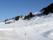 Valley run No. 1c Meierhof