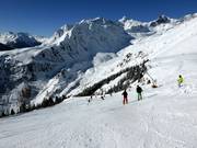 Alblitt Dias descent