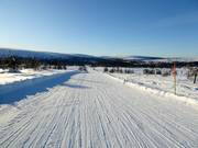 Ski trail towards Högfjellet