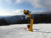 Efficient snow cannons in the ski resort of Hochficht