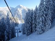 Powder tracks below the Almkopfbahn
