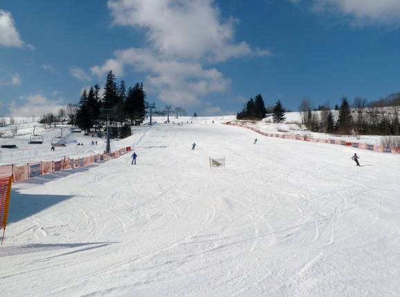 The easy slope at Witów 