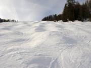 Mogul slope at the Außervillgraten chairlift