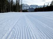 Groomed slope in the Nakiska ski area